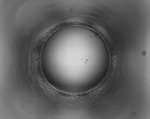 X0000116811111200912181338