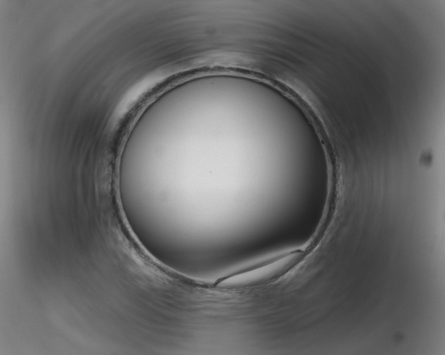 X0000116811115200912181338