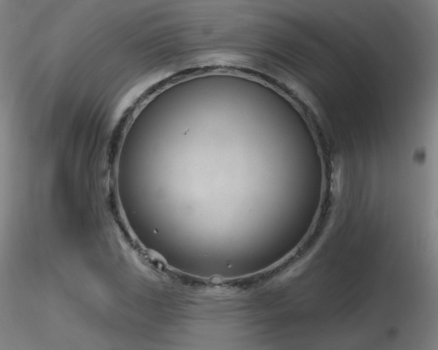 X0000116811117200912181338