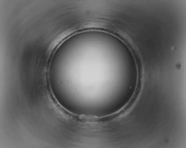 X0000116811121200912181338