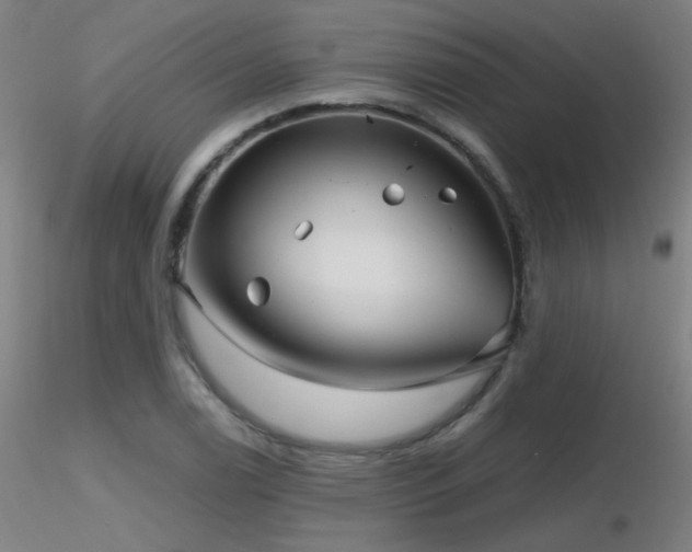 X0000116811122200912181338
