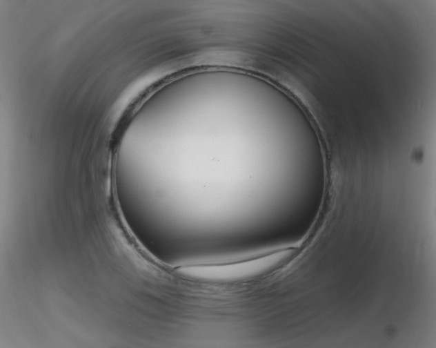 X0000116811123200912181338