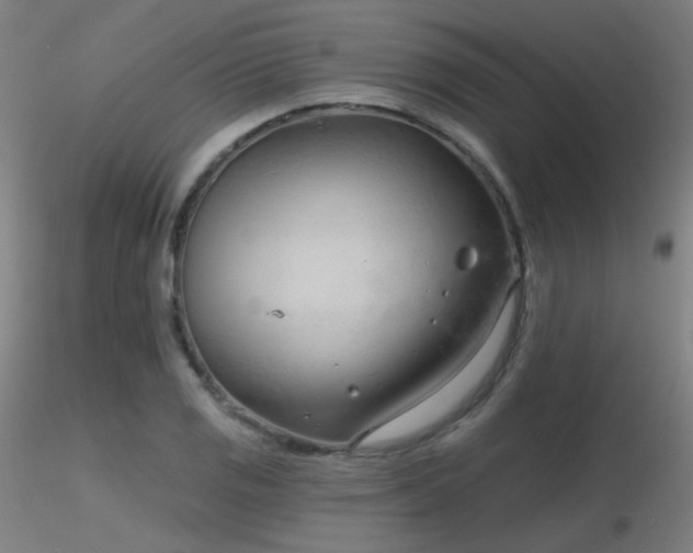 X0000116811125200912181338