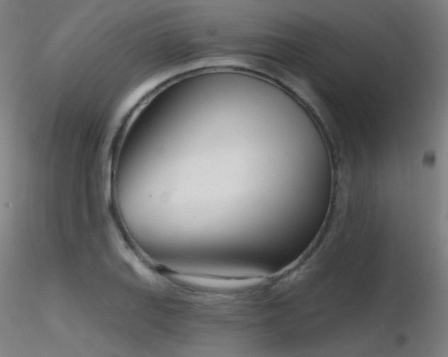 X0000116811127200912181338