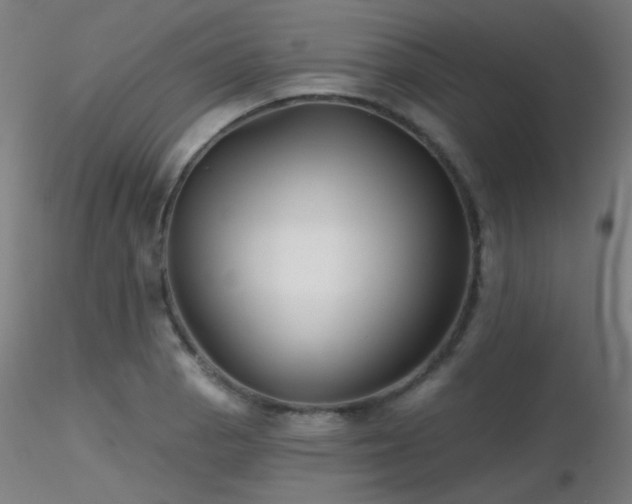 X0000116811129200912181338