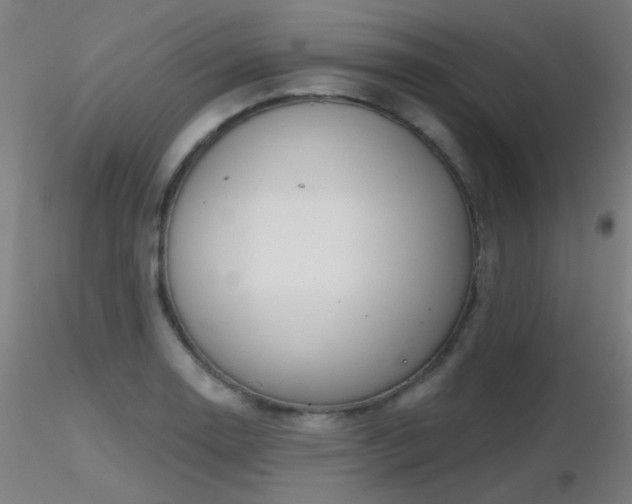 X0000116811130200912181338