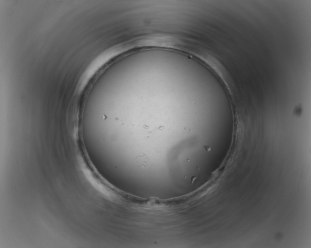 X0000116811131200912181338