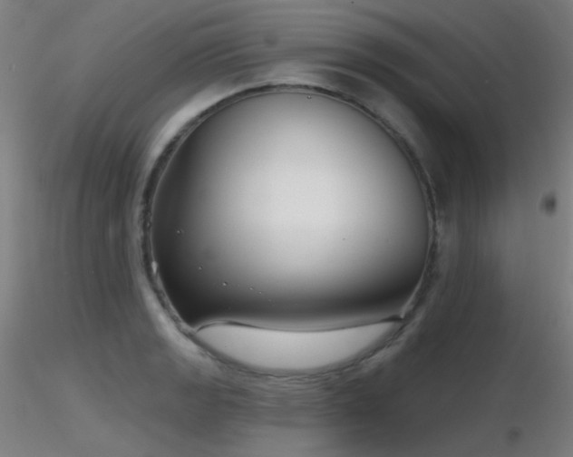 X0000116811133200912181338