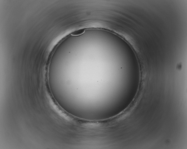 X0000116811134200912181338