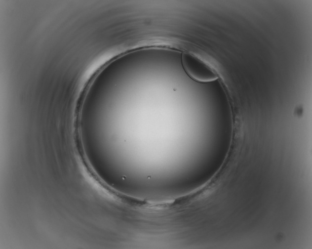 X0000116811135200912181338