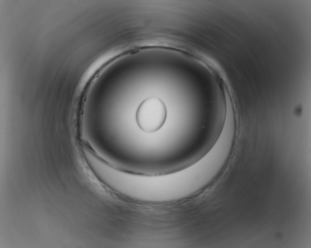 X0000116811138200912181338