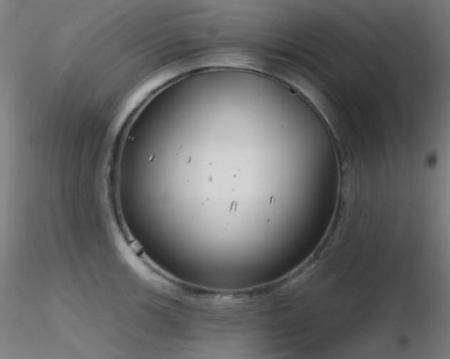 X0000116811139200912181338