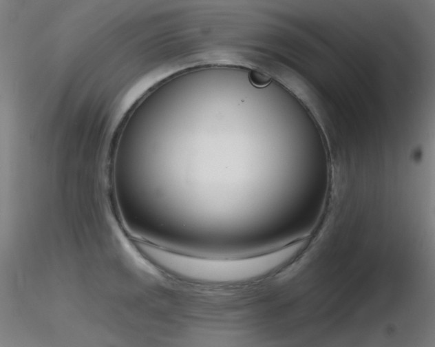 X0000116811141200912181339