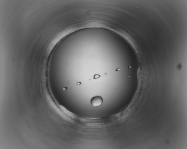 X0000116811142200912181339
