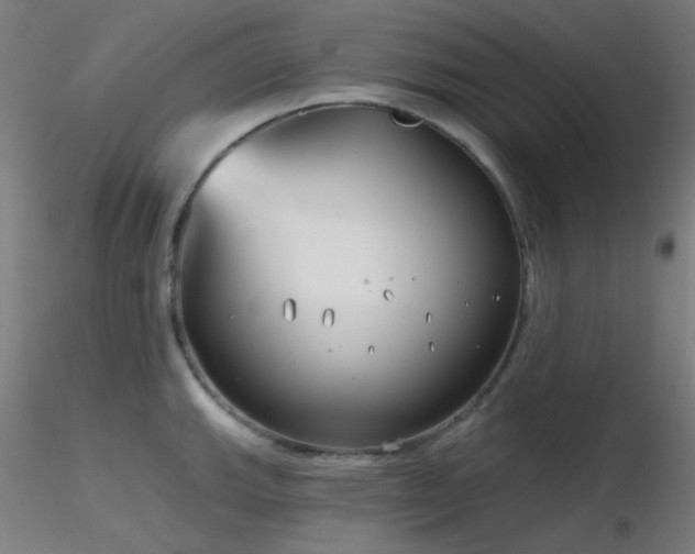 X0000116811143200912181339
