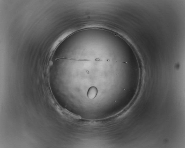 X0000116811145200912181339