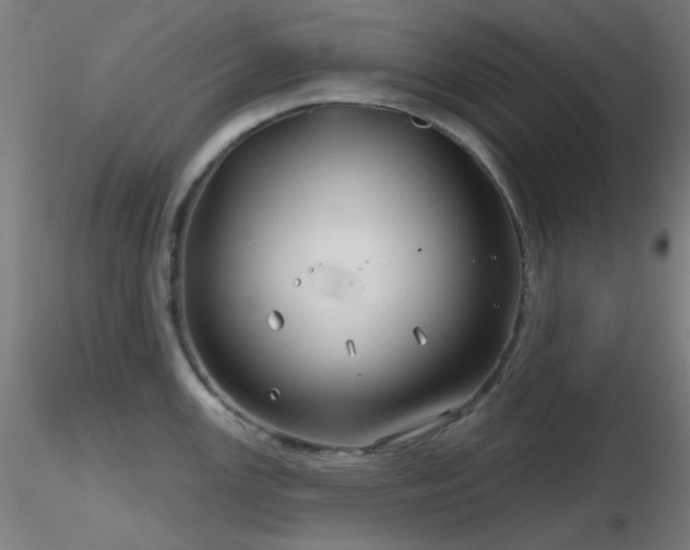 X0000116811147200912181339