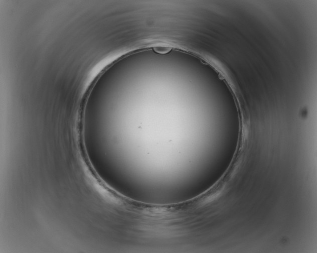 X0000116811149200912181339