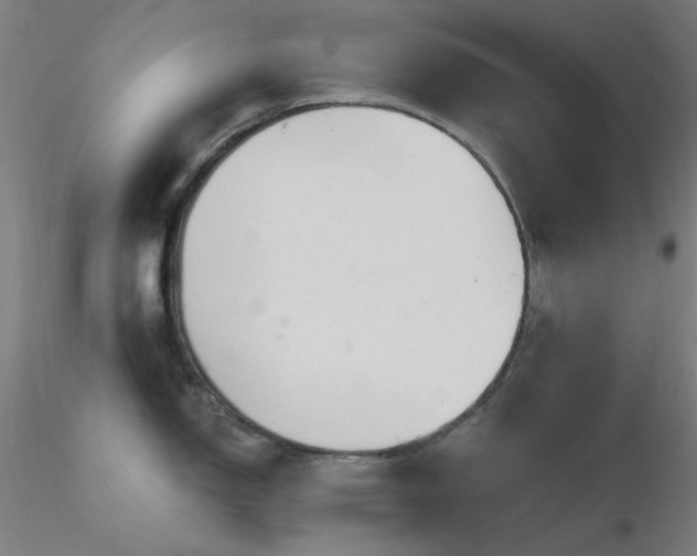 X0000116811150200912181339