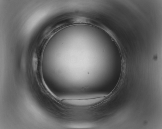 X0000116811151200912181339