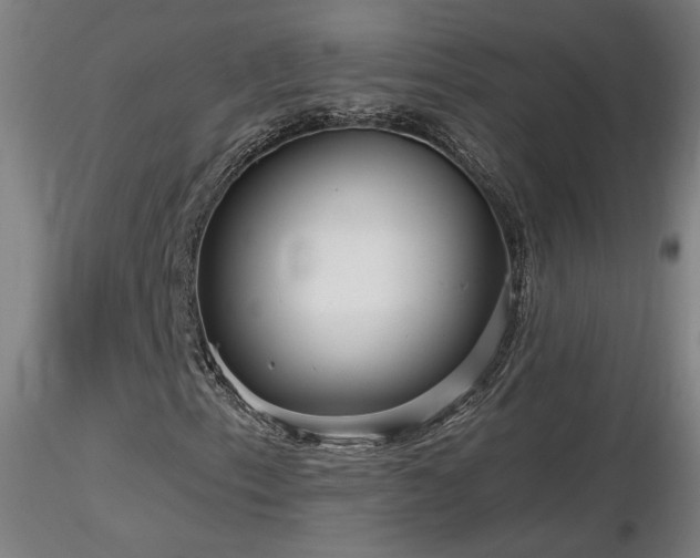 X0000116811153200912181338