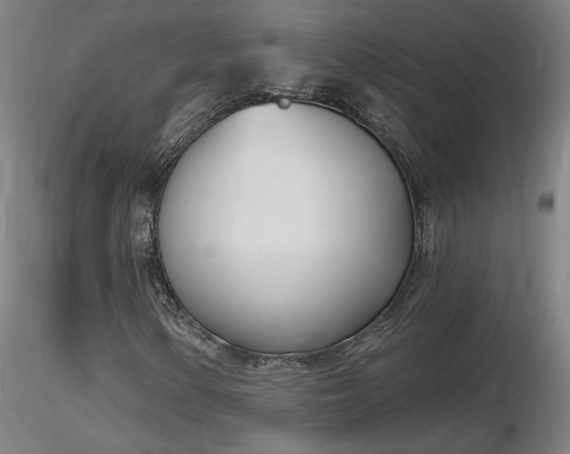 X0000116811154200912181338