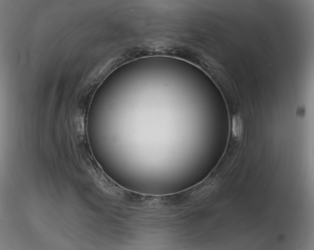 X0000116811155200912181338