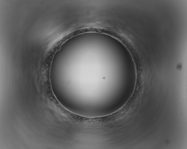 X0000116811159200912181338