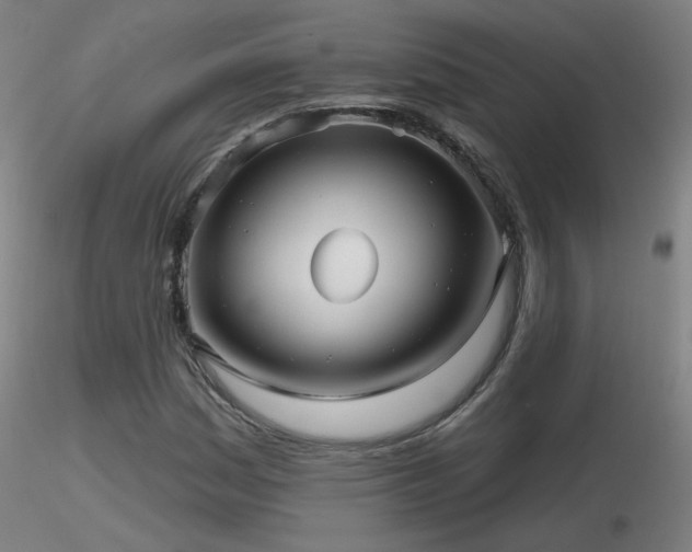 X0000116811161200912181338