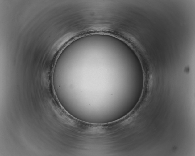 X0000116811162200912181338