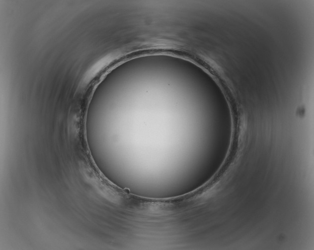 X0000116811163200912181338