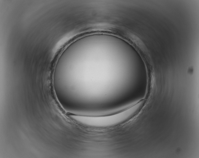 X0000116811164200912181338
