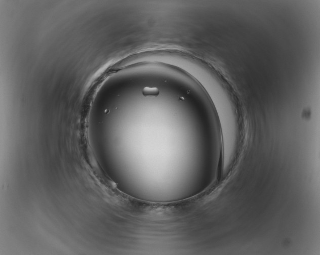 X0000116811165200912181338