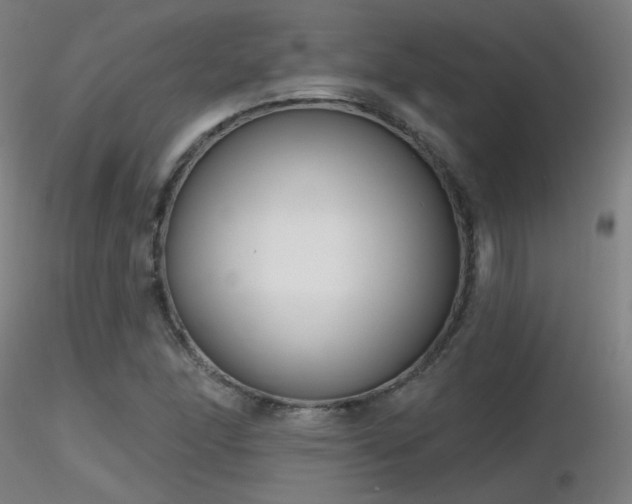 X0000116811166200912181338