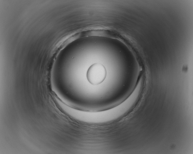 X0000116811169200912181338