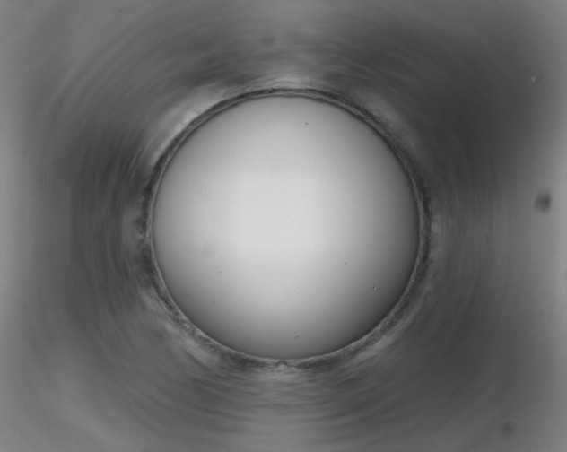 X0000116811170200912181338