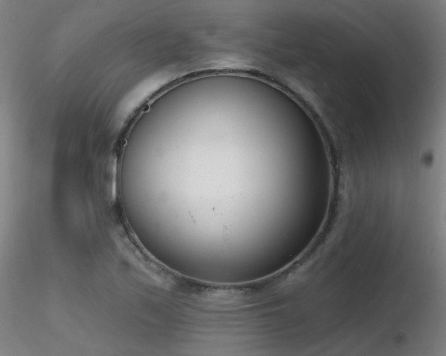 X0000116811171200912181338