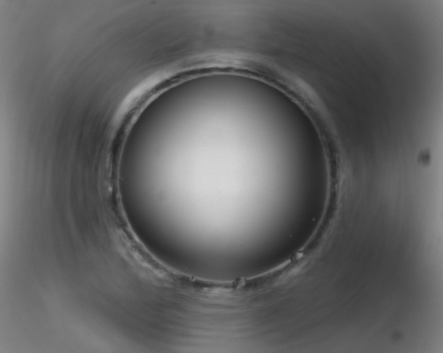 X0000116811172200912181338