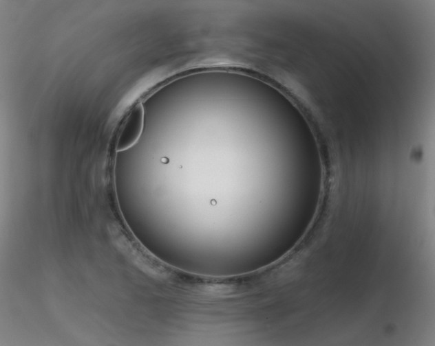 X0000116811173200912181338