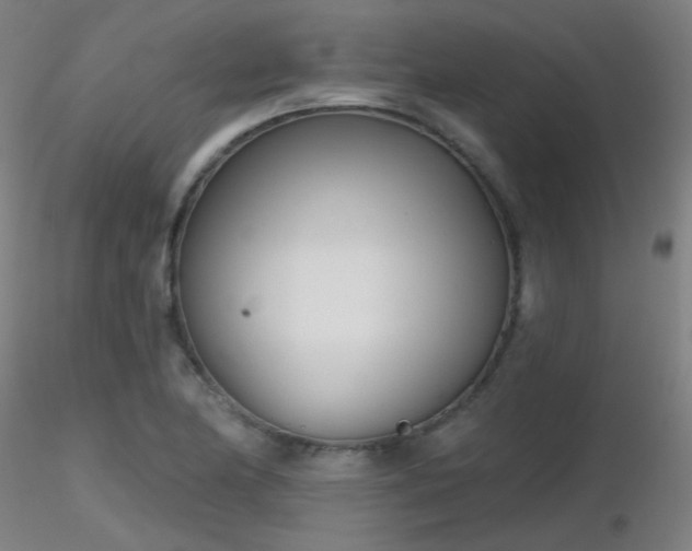 X0000116811174200912181338