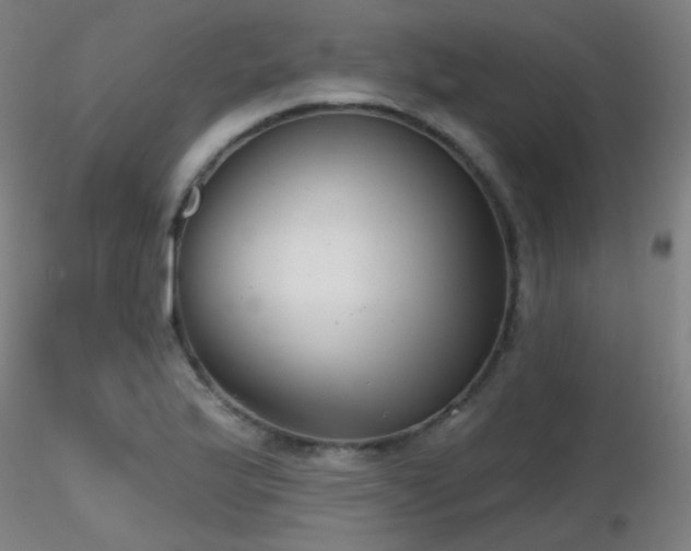 X0000116811175200912181338