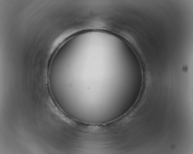 X0000116811176200912181338