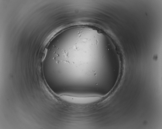 X0000116811177200912181337