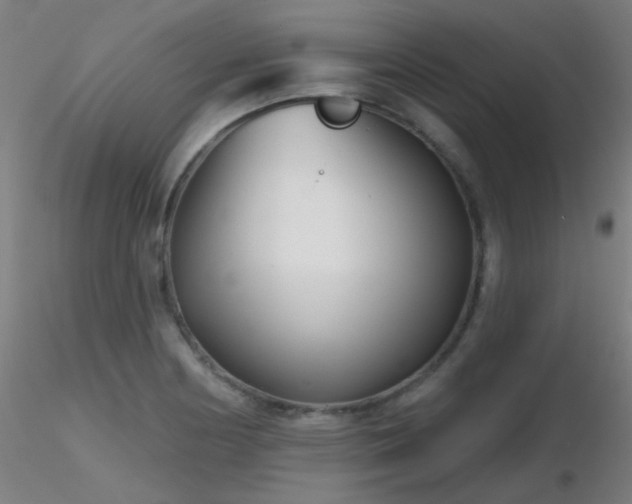 X0000116811178200912181337