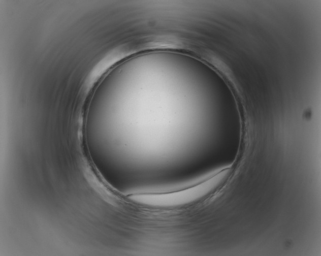 X0000116811179200912181337