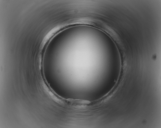 X0000116811180200912181337