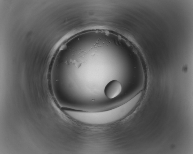 X0000116811181200912181337