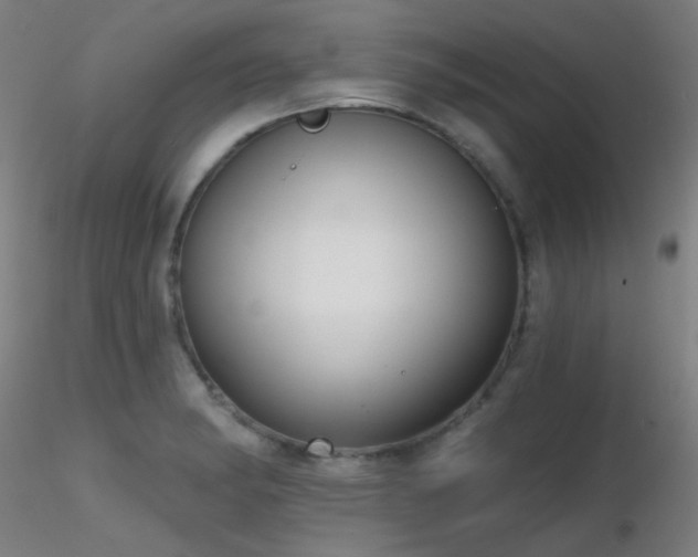 X0000116811182200912181337