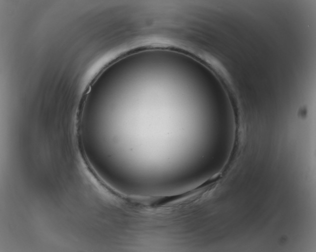 X0000116811183200912181337