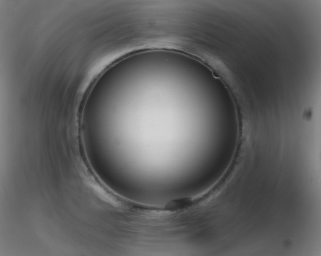 X0000116811184200912181337